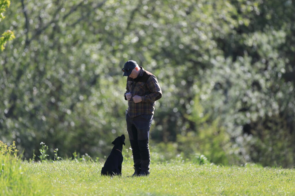 En hund modtager en godbid som forstærkning for korrekt udført kommando, hvilket fremmer effektiv læring og træningsresultater