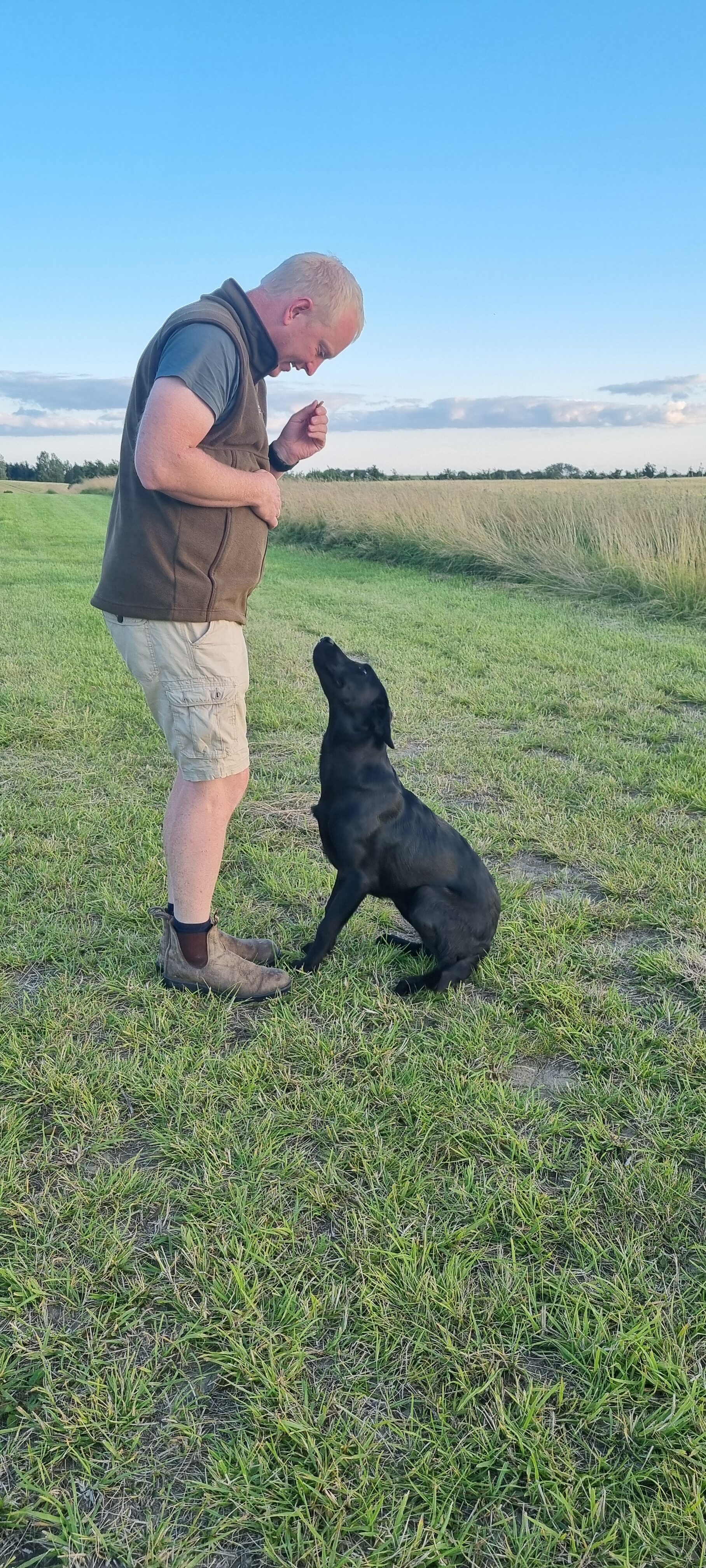 Hvalpetræningsforløb – Træningsaften